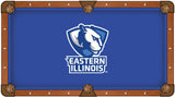 Eastern Illinois Pool Table