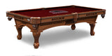 Southern Illinois Salukis Pool Table